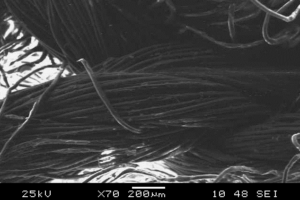 View of Carbon Fibers