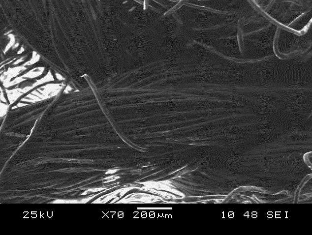View of Carbon Fibers